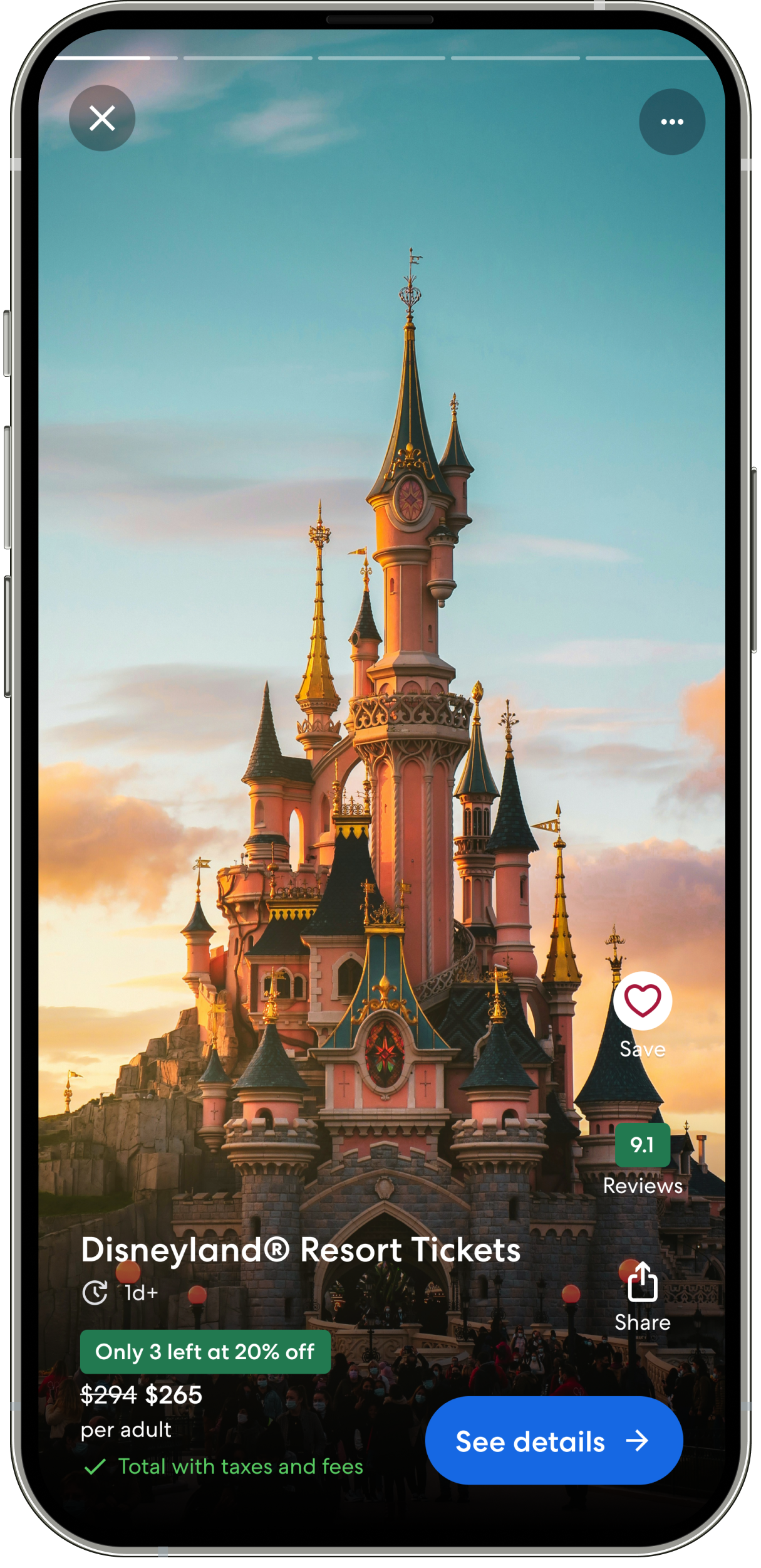 Immersive full-screen activity detail view